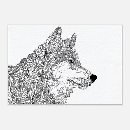 666a1643-7fe6-4c4b-aff3-fff2eb98ea70