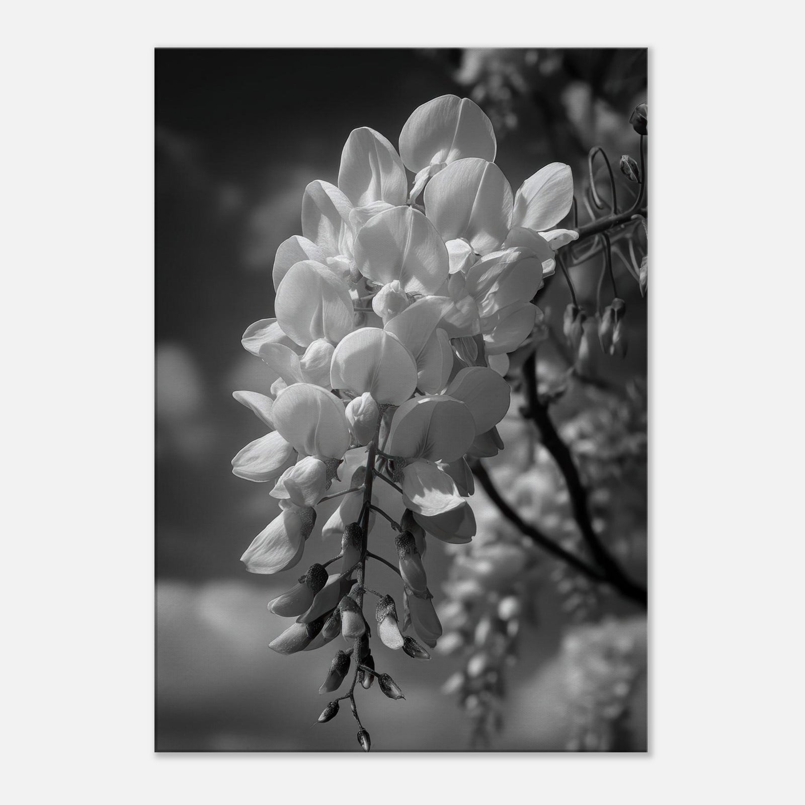 6721e234-a022-4d83-9563-82fec739a062