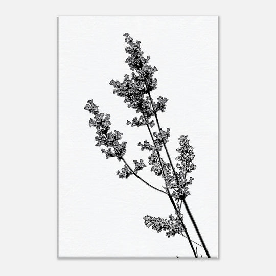 6722072f-dd36-42ee-852f-6b05ac37a903