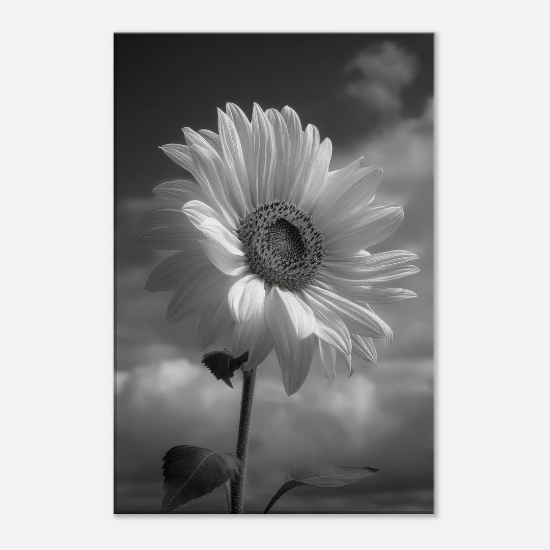 690a2874-6a1e-4299-b0db-04050eb6f3b4