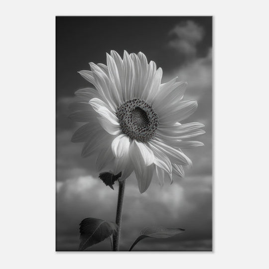 690a2874-6a1e-4299-b0db-04050eb6f3b4