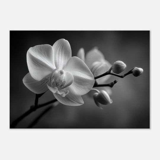 69354d13-2ca2-4bc9-8f02-e2854094a412