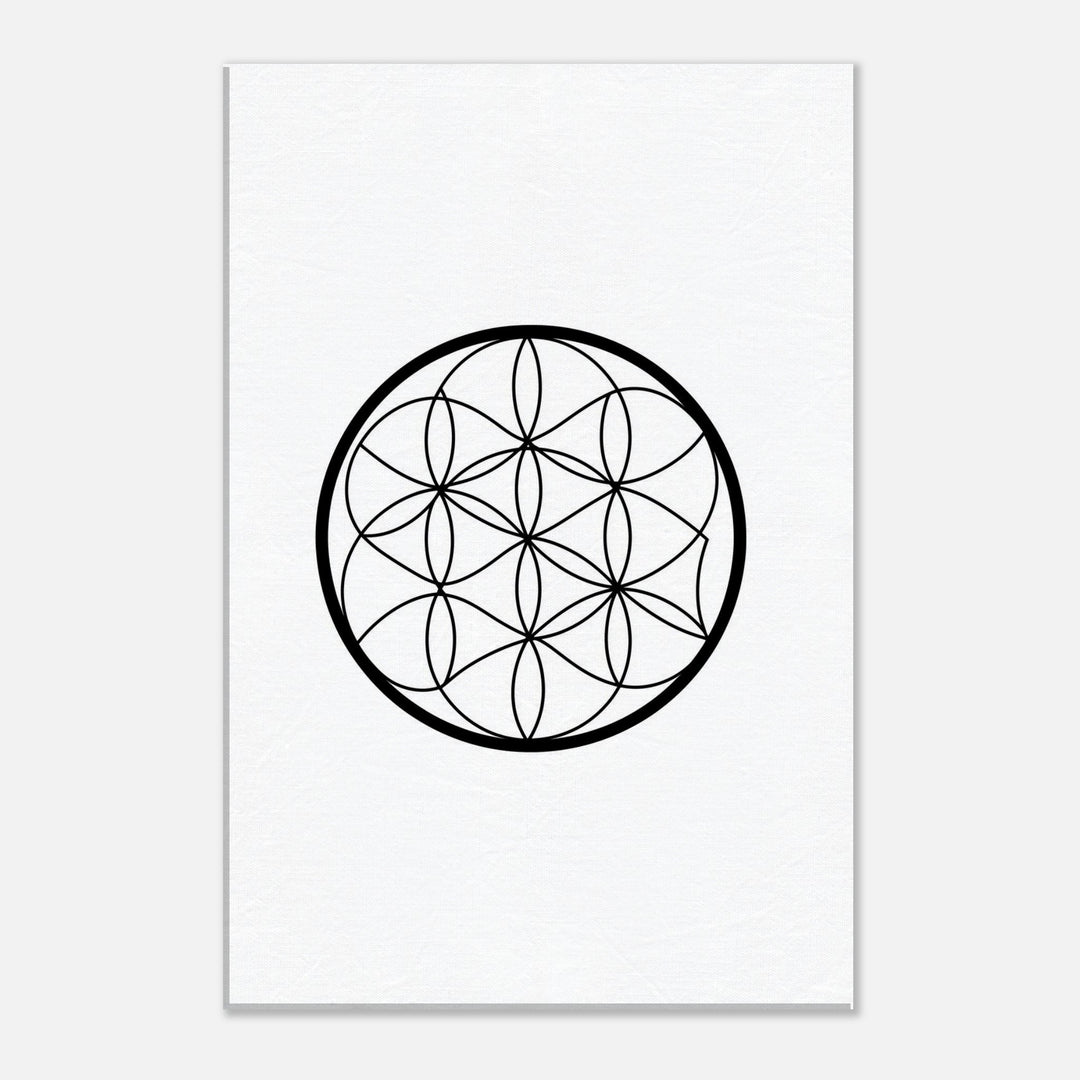 6947bf9b-1c4e-4c60-b047-032fed050b6b