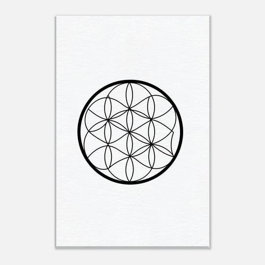 6947bf9b-1c4e-4c60-b047-032fed050b6b