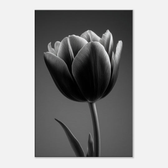 69a3b406-385d-429e-92bc-d012a13bd430