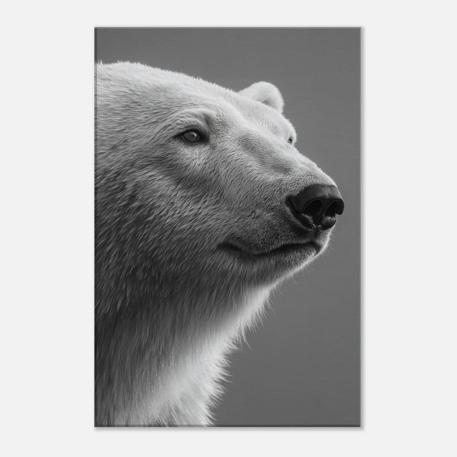 69e72079-a1bf-4832-9831-63faed2f262b