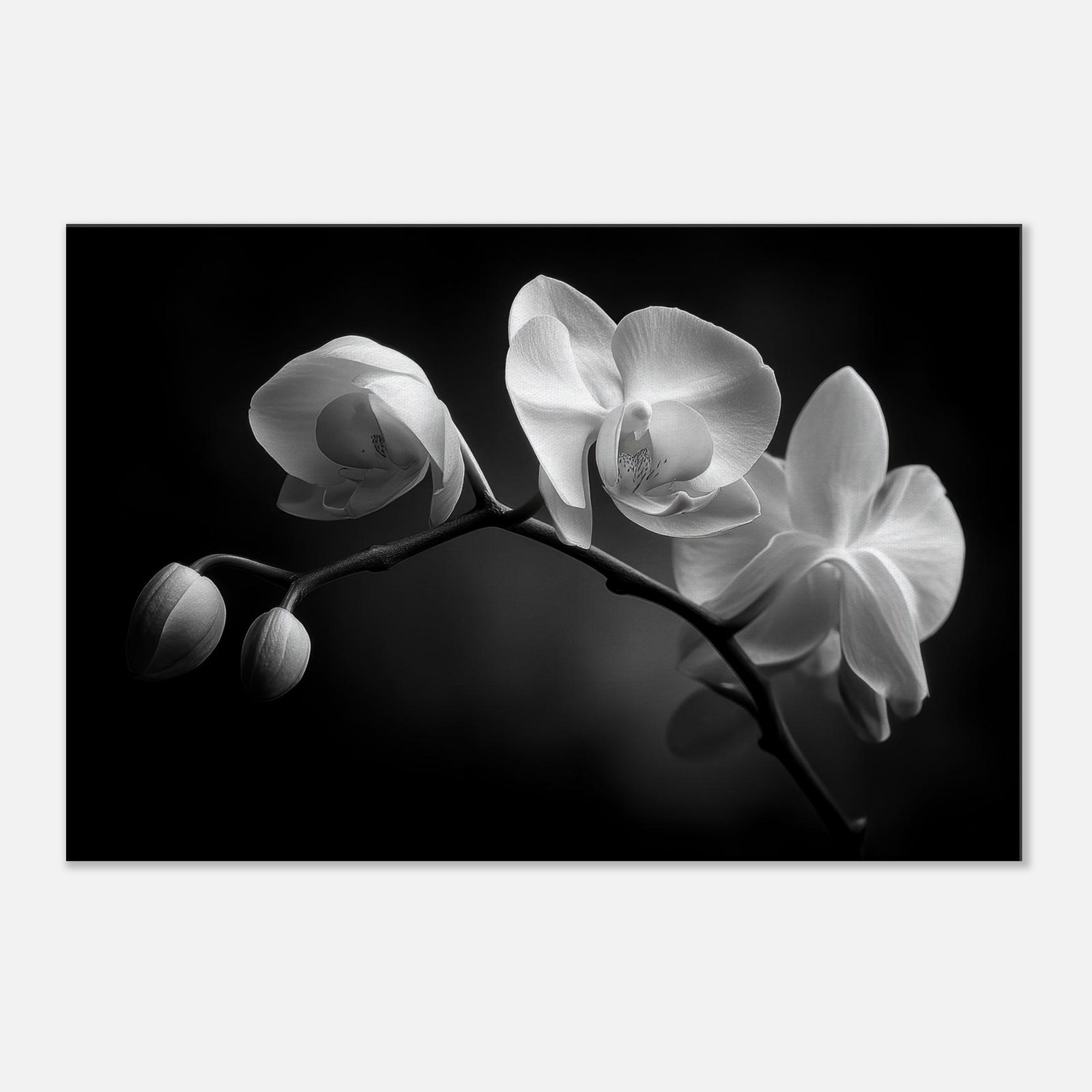 6b1bdaea-4ecb-47ef-b194-817f909b1dda