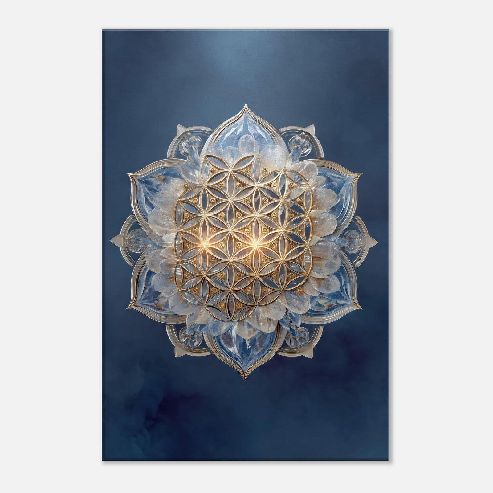 6b32f571-9818-4f66-a97c-da9eadd22936