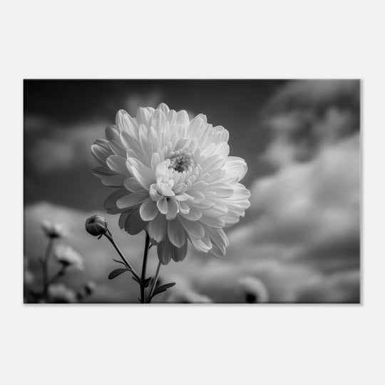 6b458264-c990-4c66-807b-af33e090b227