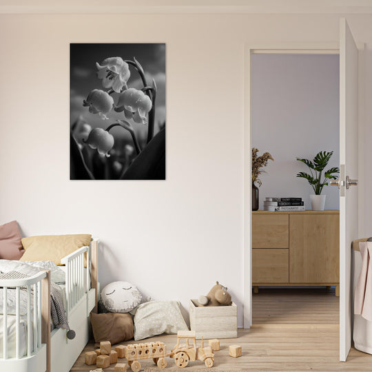 6bd9dd52-9693-4bfb-989e-383898259efa