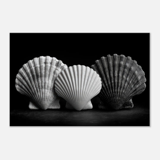 6cbeb869-22f8-4039-a149-0ed1d7d40140