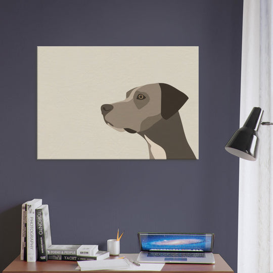 6ccd2df6-d2a7-4435-8b92-77b22e5e50e5