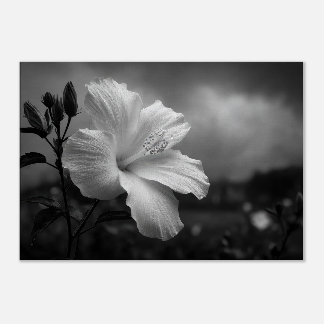 6d18ee8e-7705-4608-a068-09b2b0bfe7f8