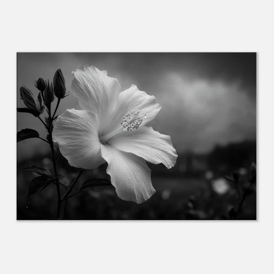 6d18ee8e-7705-4608-a068-09b2b0bfe7f8