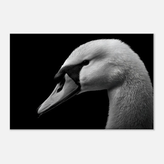 6d7ac0c5-5358-4118-92a9-12b7bd036d79