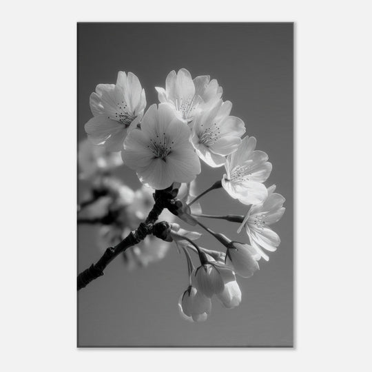 6d7e886e-9915-4d8a-9444-05529ac3aa99