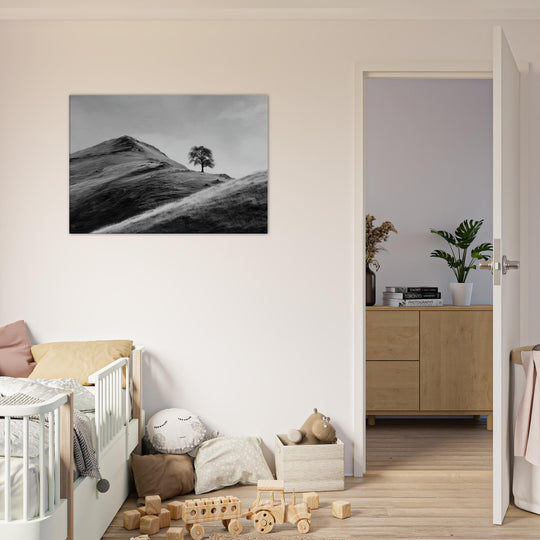 6d8015b0-1f8e-4d5c-93b9-73b30a35ee29