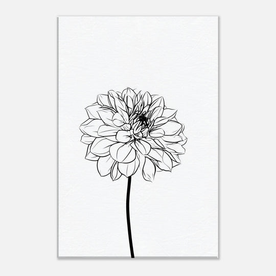 6dd7e041-725d-4823-bd26-a4fbc66281f7