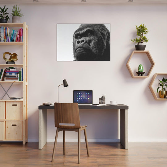 6de0506b-43cc-470c-97b9-0734dac88544