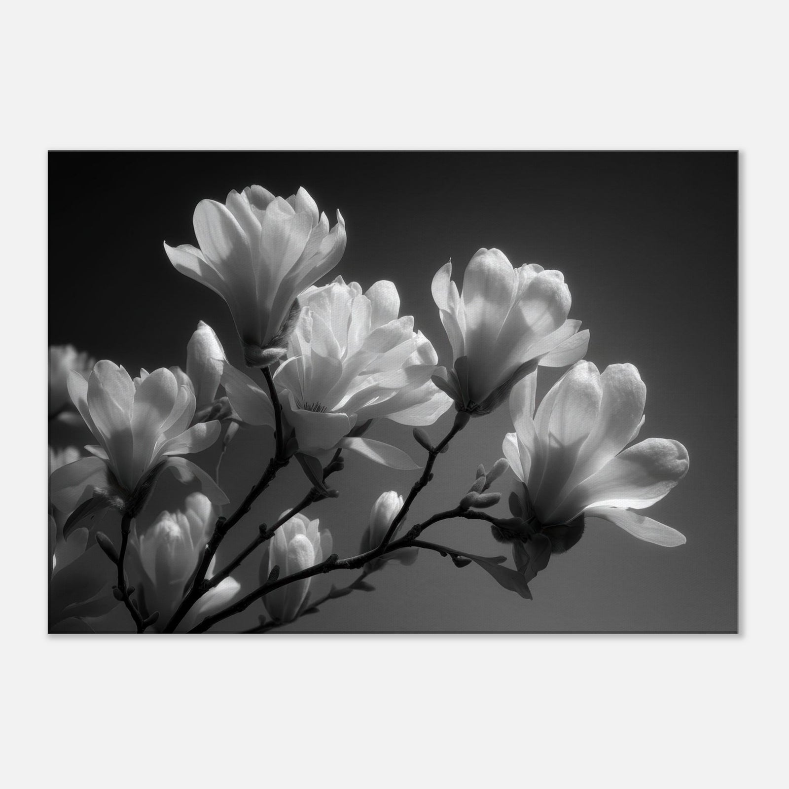 6deaeccb-e851-4a10-b4a0-b8f62c3d12f9