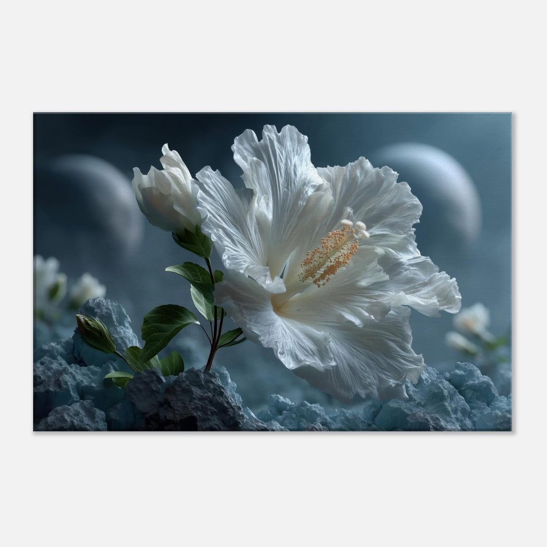 6e10c065-340c-49a4-bc2d-fc2e6d53572a