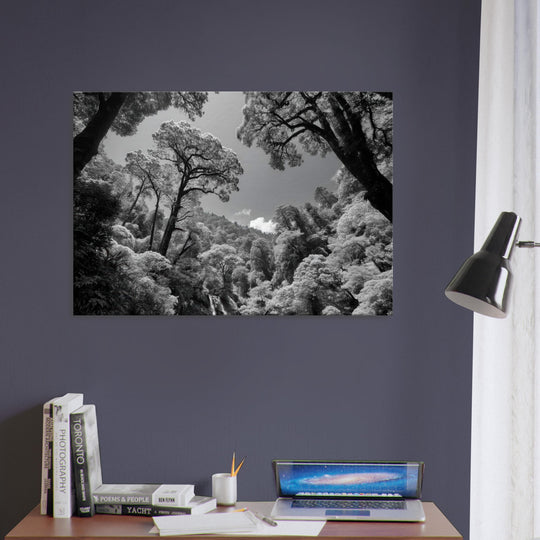 6e857f3c-3a1f-4f15-b563-d79e673c71bd