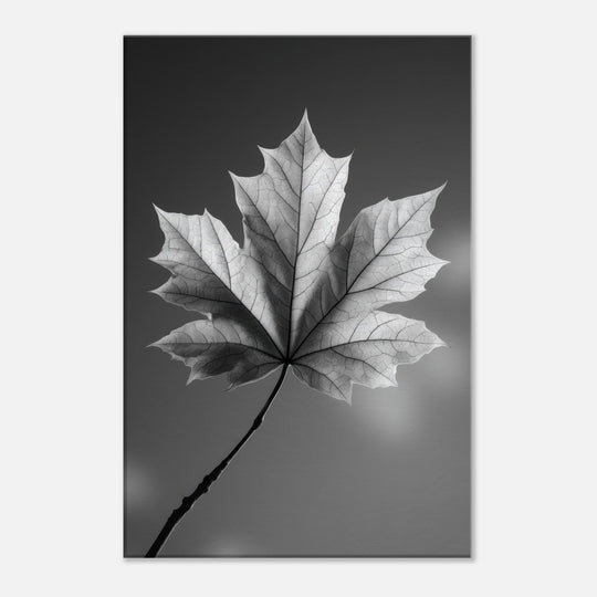 6e87ded4-a15e-41a7-a643-b96fe316aea3