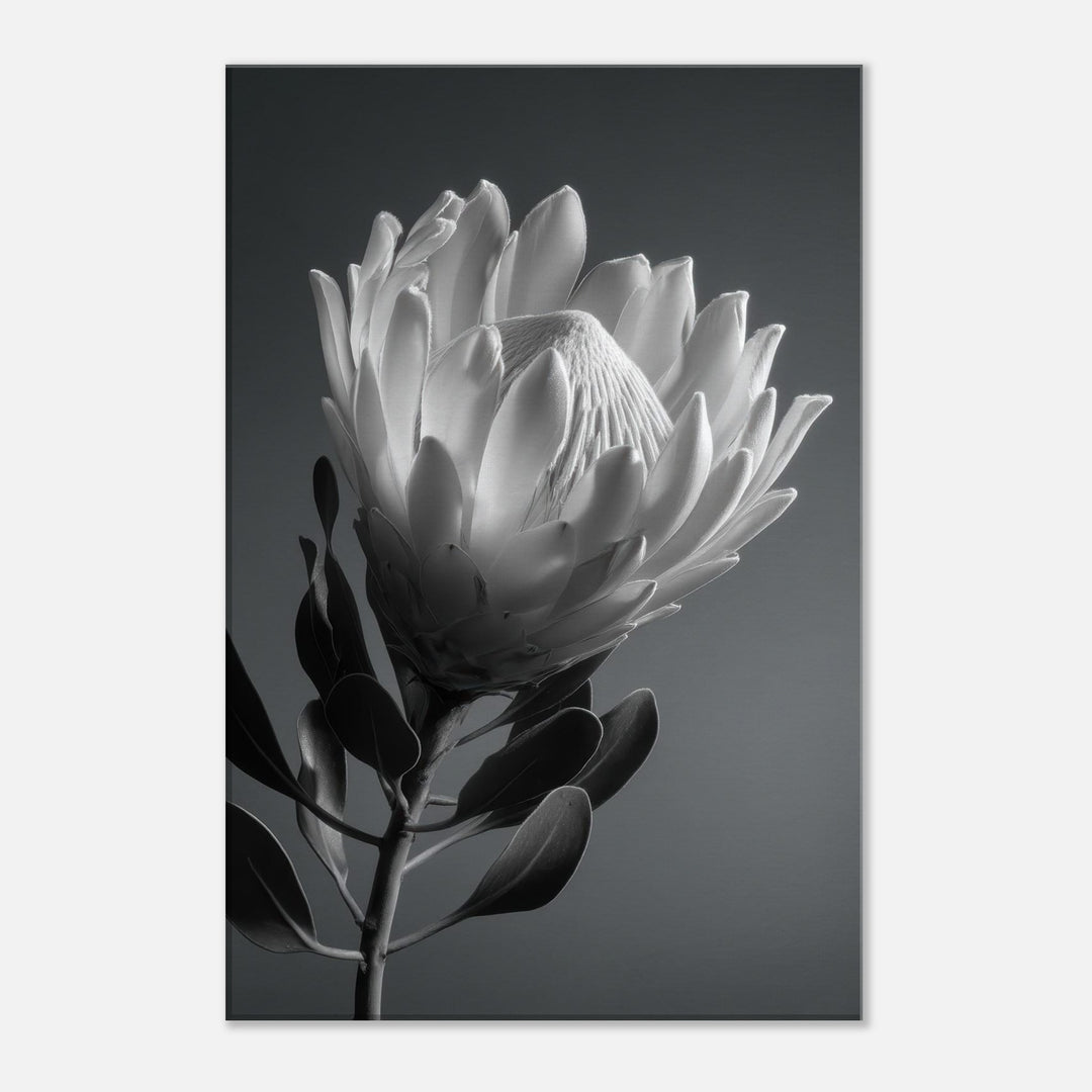 6edc7651-0c0a-4ed7-a835-f76e17a65db5