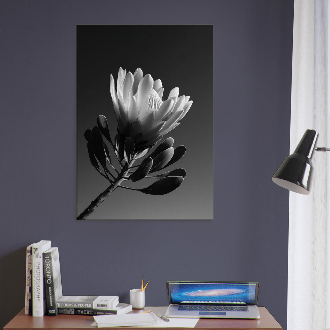 708b9b5a-8365-409c-84eb-190ed6f75f44