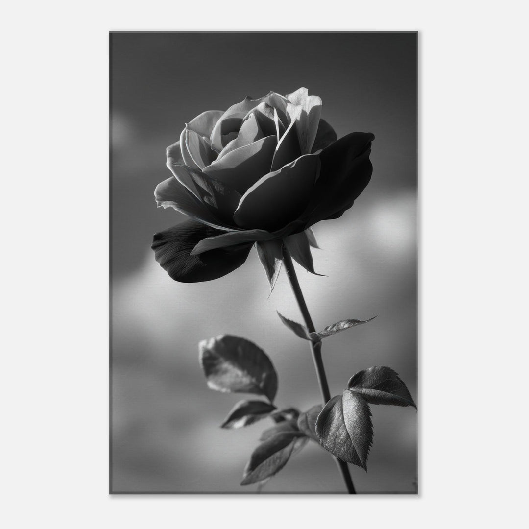 7126f476-e3b9-4ab1-ae83-654868e97fcb