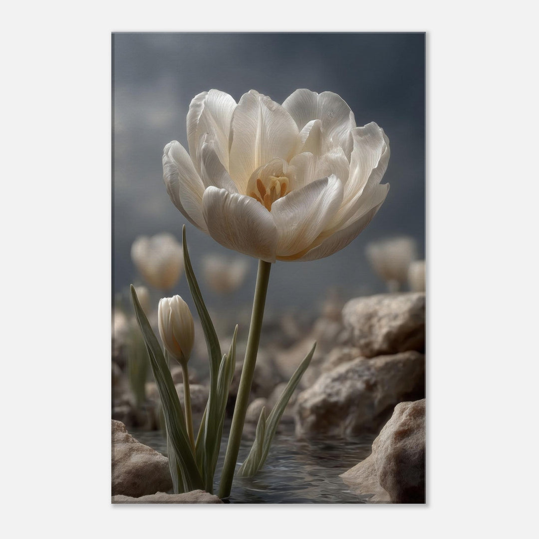 720e4d91-9ae7-4587-ab47-8fba49ffaf38