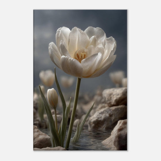 720e4d91-9ae7-4587-ab47-8fba49ffaf38