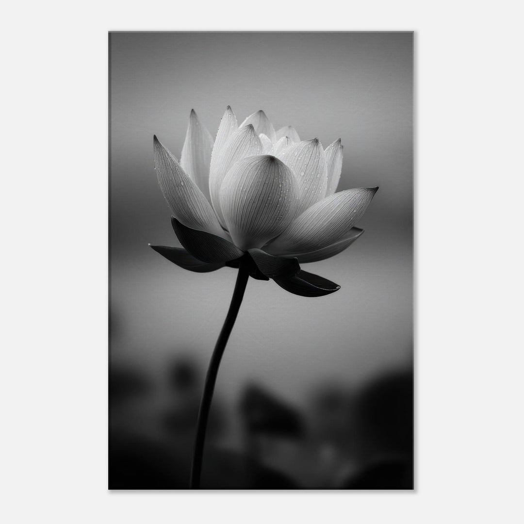 726fca04-2365-4c1d-af69-ab929c69278a