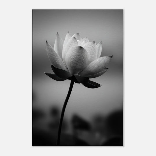 726fca04-2365-4c1d-af69-ab929c69278a