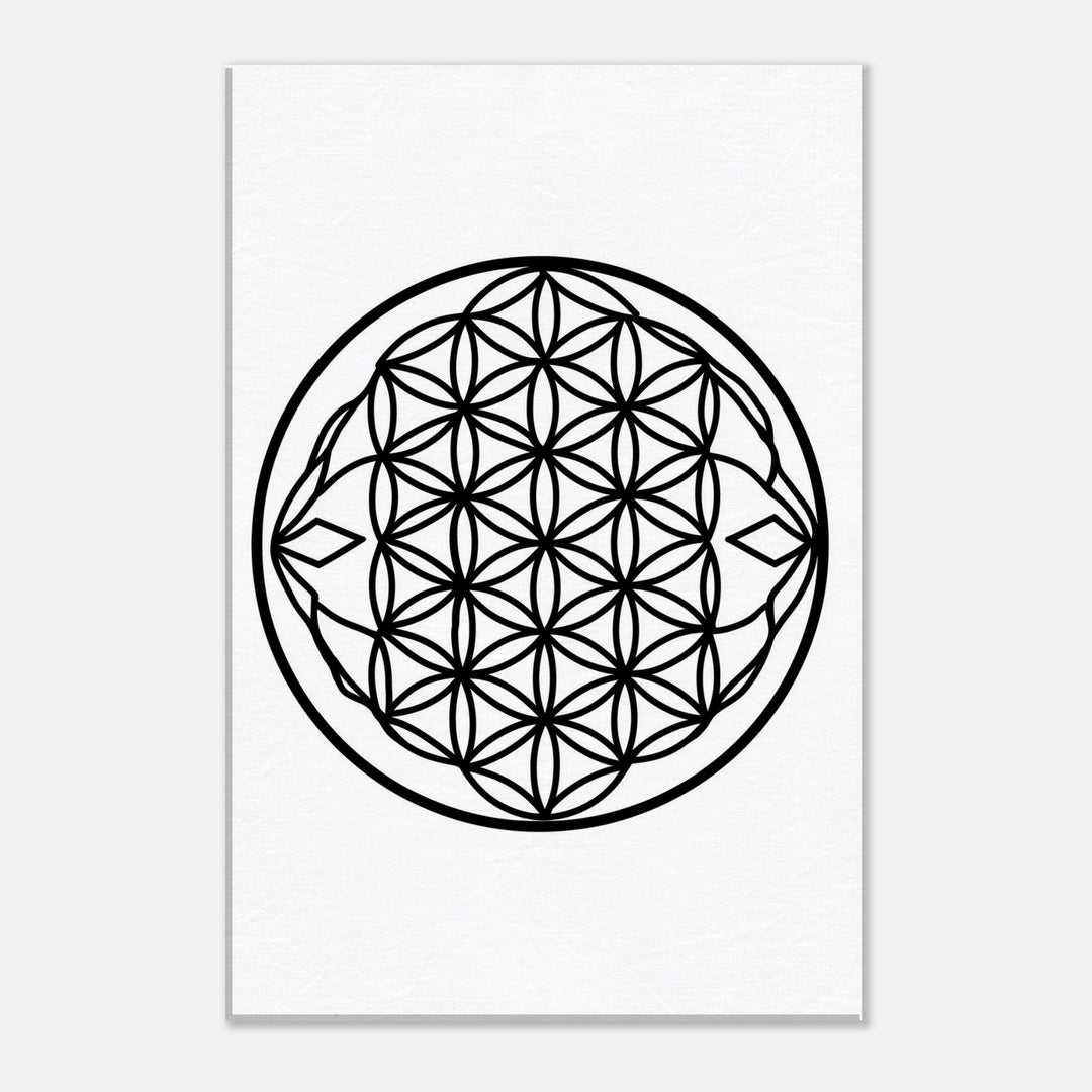 7333b7eb-51f9-4902-92b2-849acabb045a