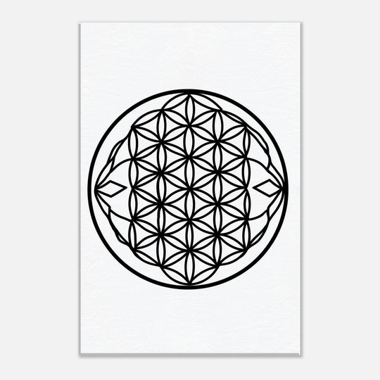 7333b7eb-51f9-4902-92b2-849acabb045a