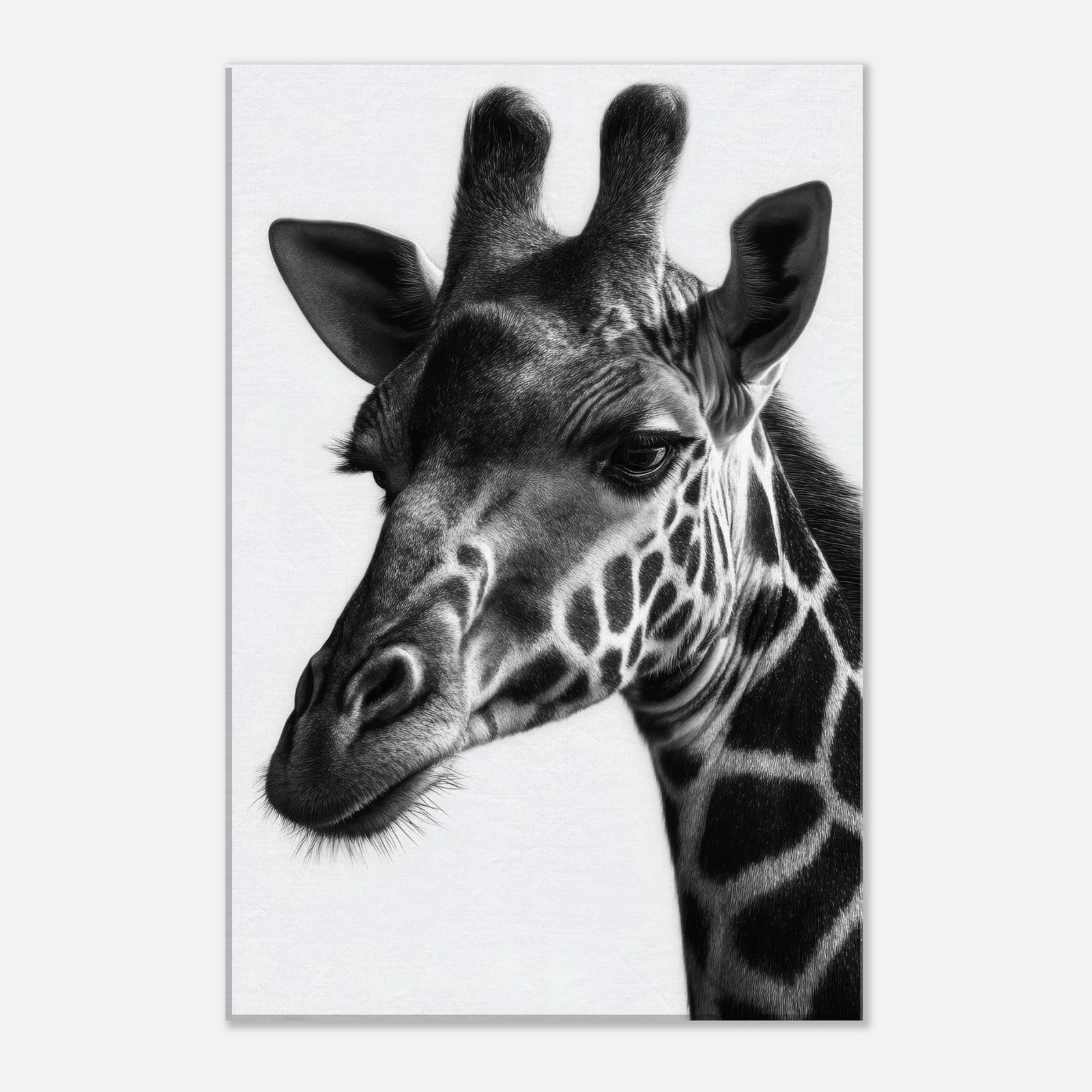 7365fb7b-d8e8-47c7-9e69-3a606f570e03