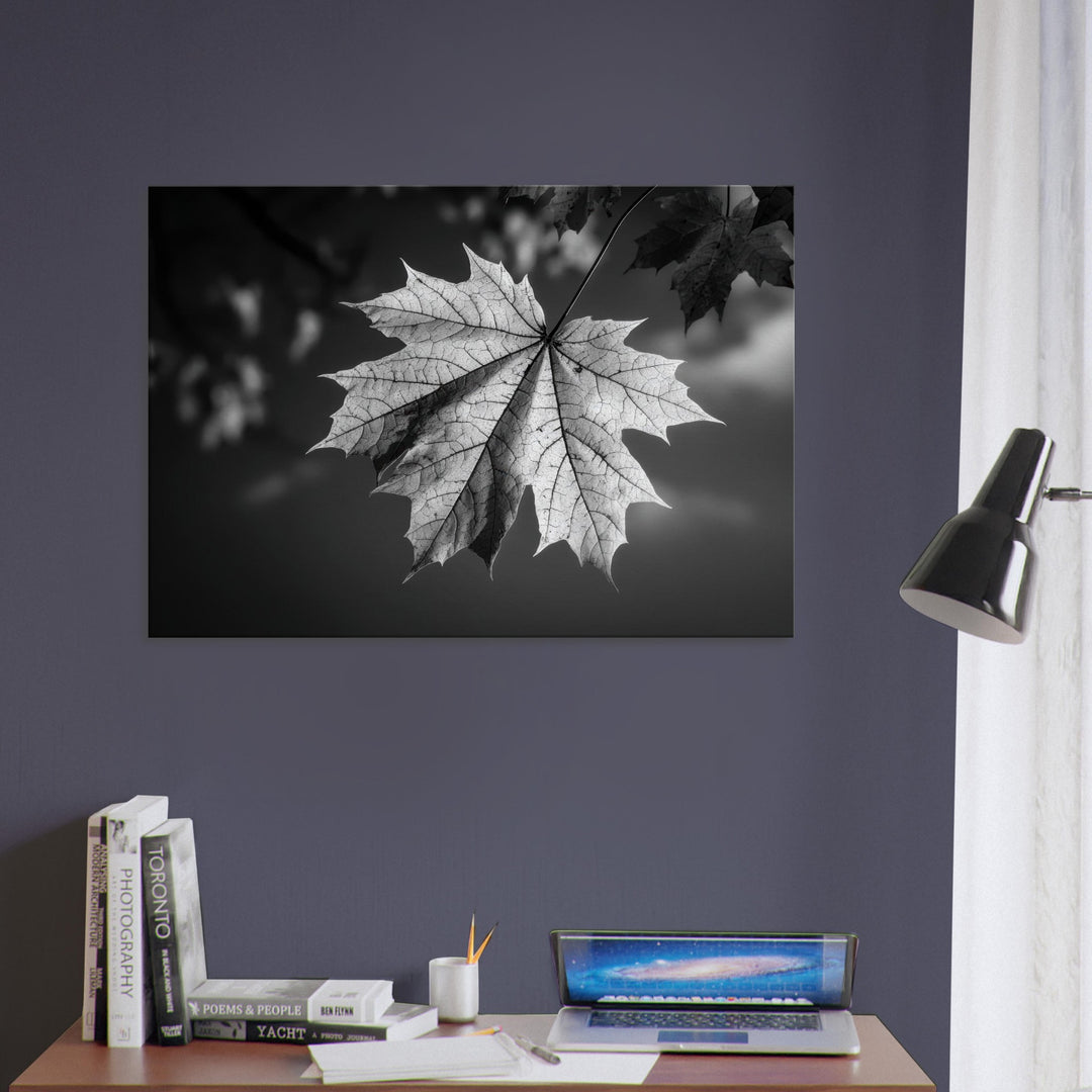 73cd7acc-5f94-4ba1-ab71-284e6e534b32