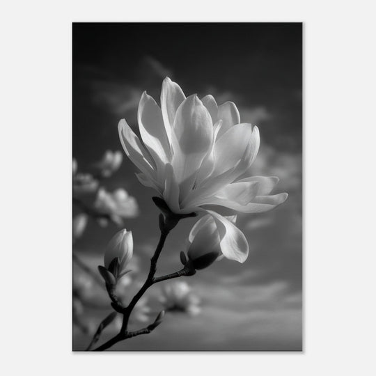 745b03d4-3252-4574-ac7d-523d69466a18