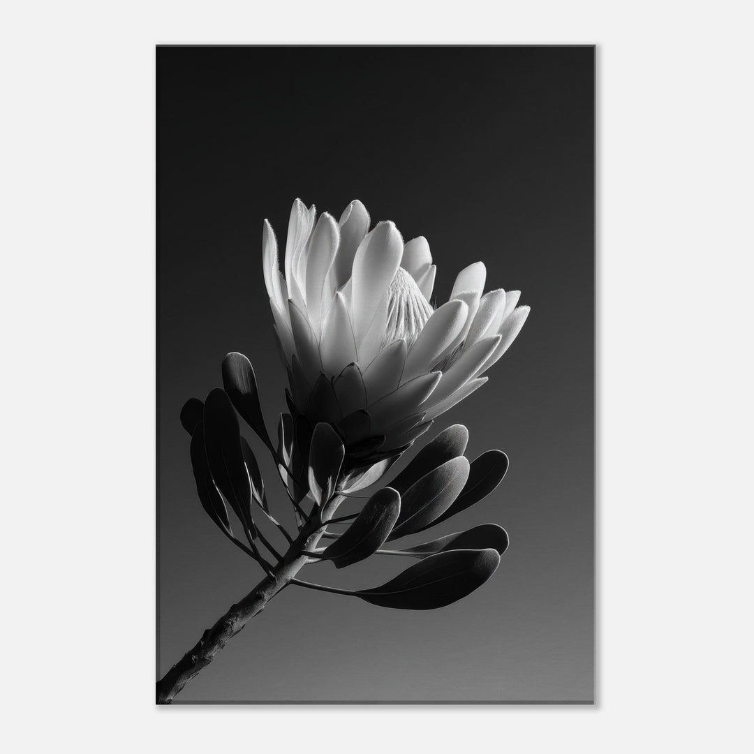 74b03112-ec5a-4a7c-96ec-1ecee5587c53