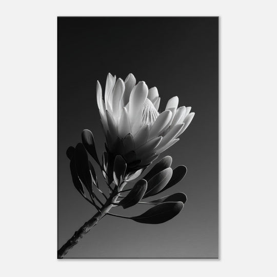 74b03112-ec5a-4a7c-96ec-1ecee5587c53