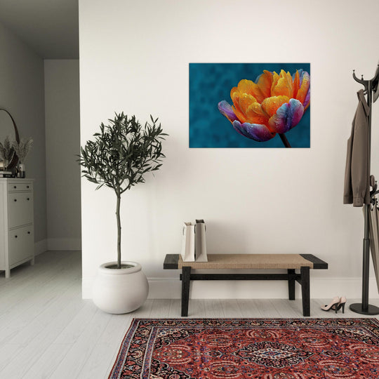 74c94309-7ce5-4e68-94d8-099e41f97134