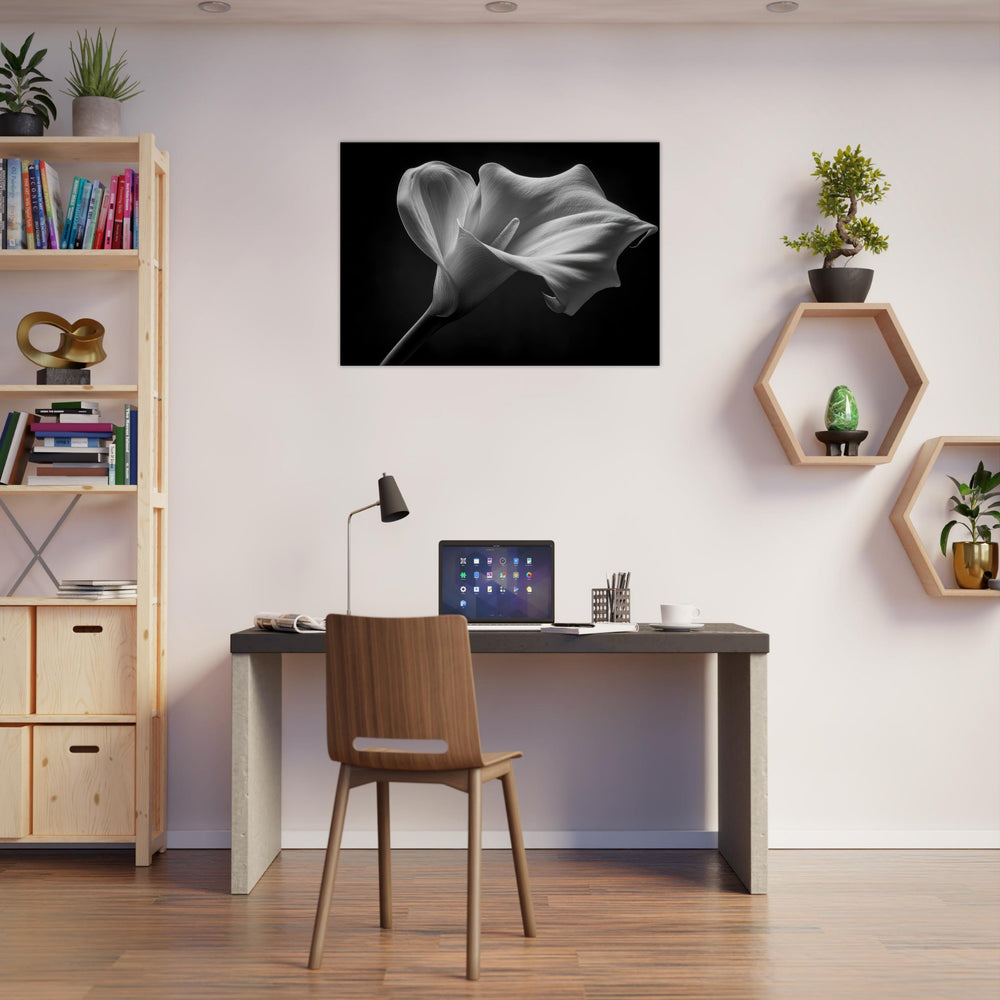 75a4ca02-3f17-44c9-b66d-a9b6e4c555e9