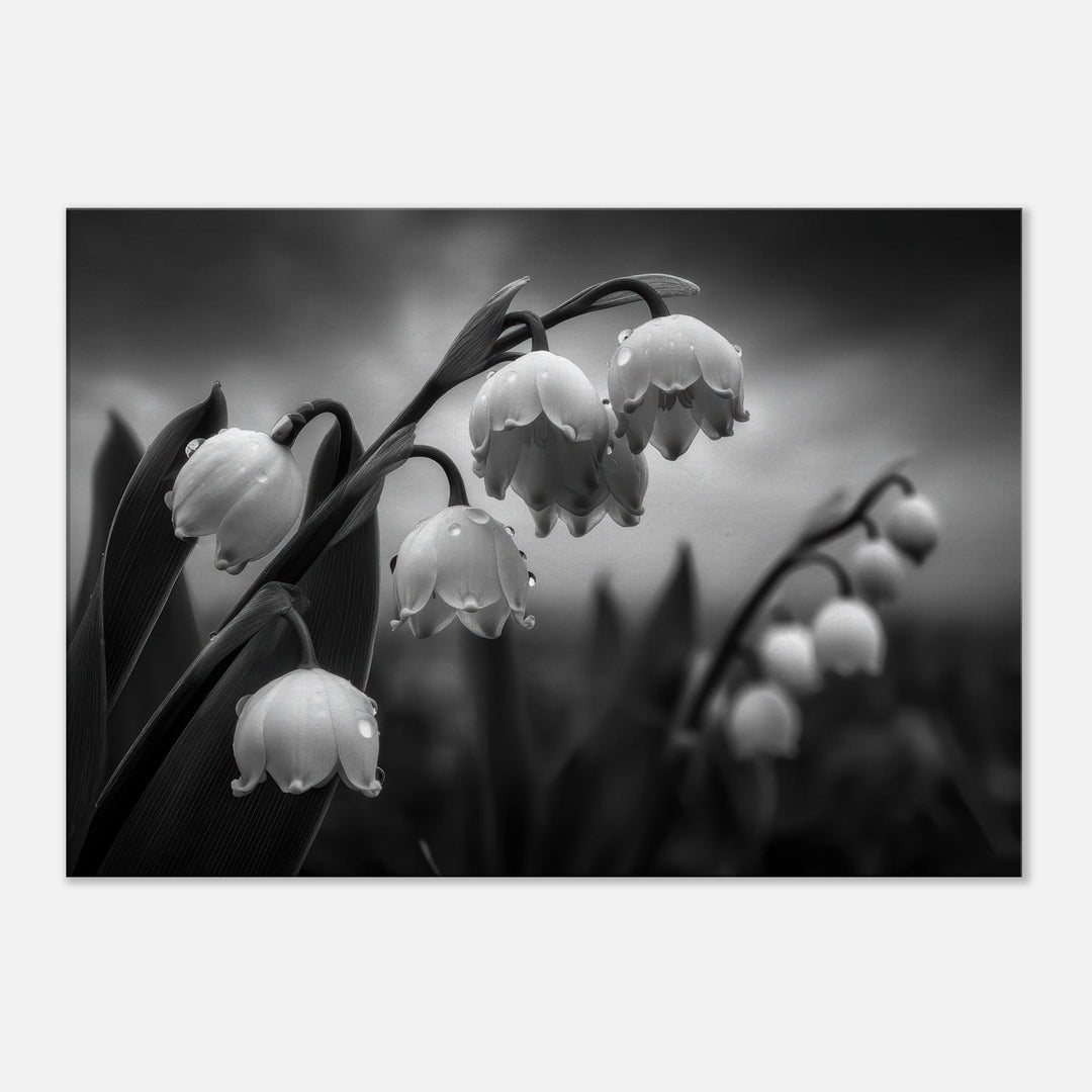 7657356c-6793-4307-9125-7573728e5024