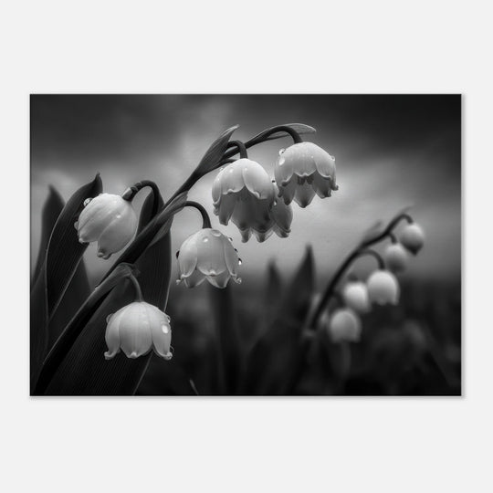 7657356c-6793-4307-9125-7573728e5024