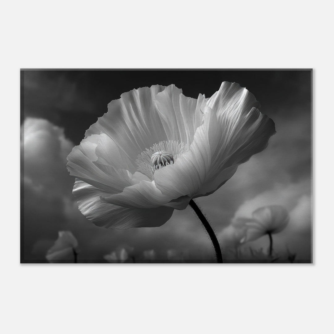 76c0dde0-00d1-466b-9376-3943e1d07912