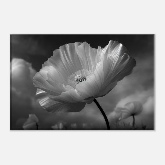 76c0dde0-00d1-466b-9376-3943e1d07912