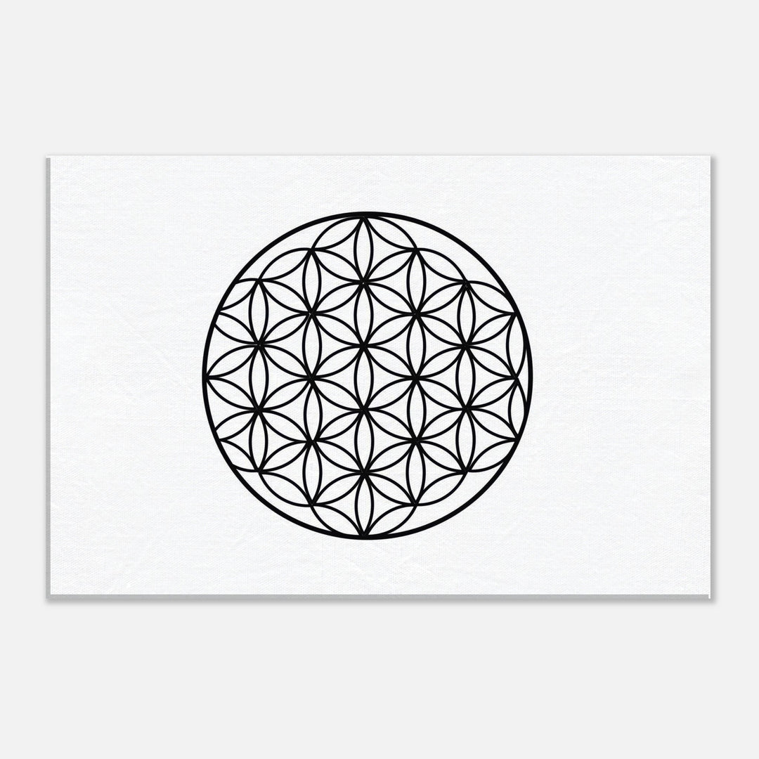 7710f3f3-2170-4746-81e2-0f3cac1e0880