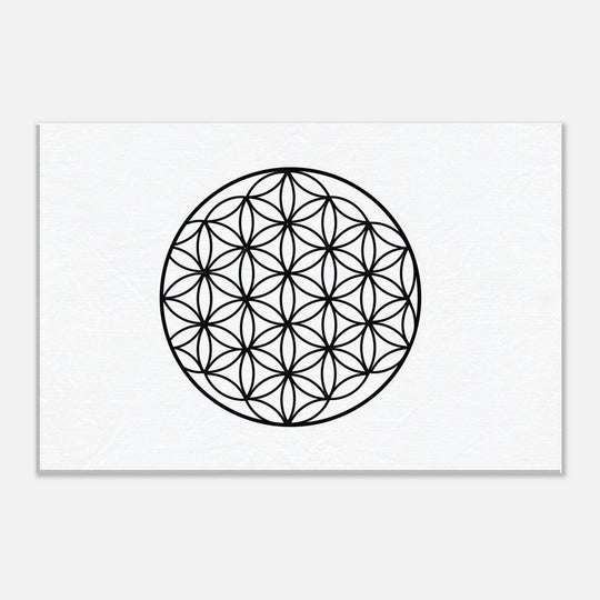 7710f3f3-2170-4746-81e2-0f3cac1e0880