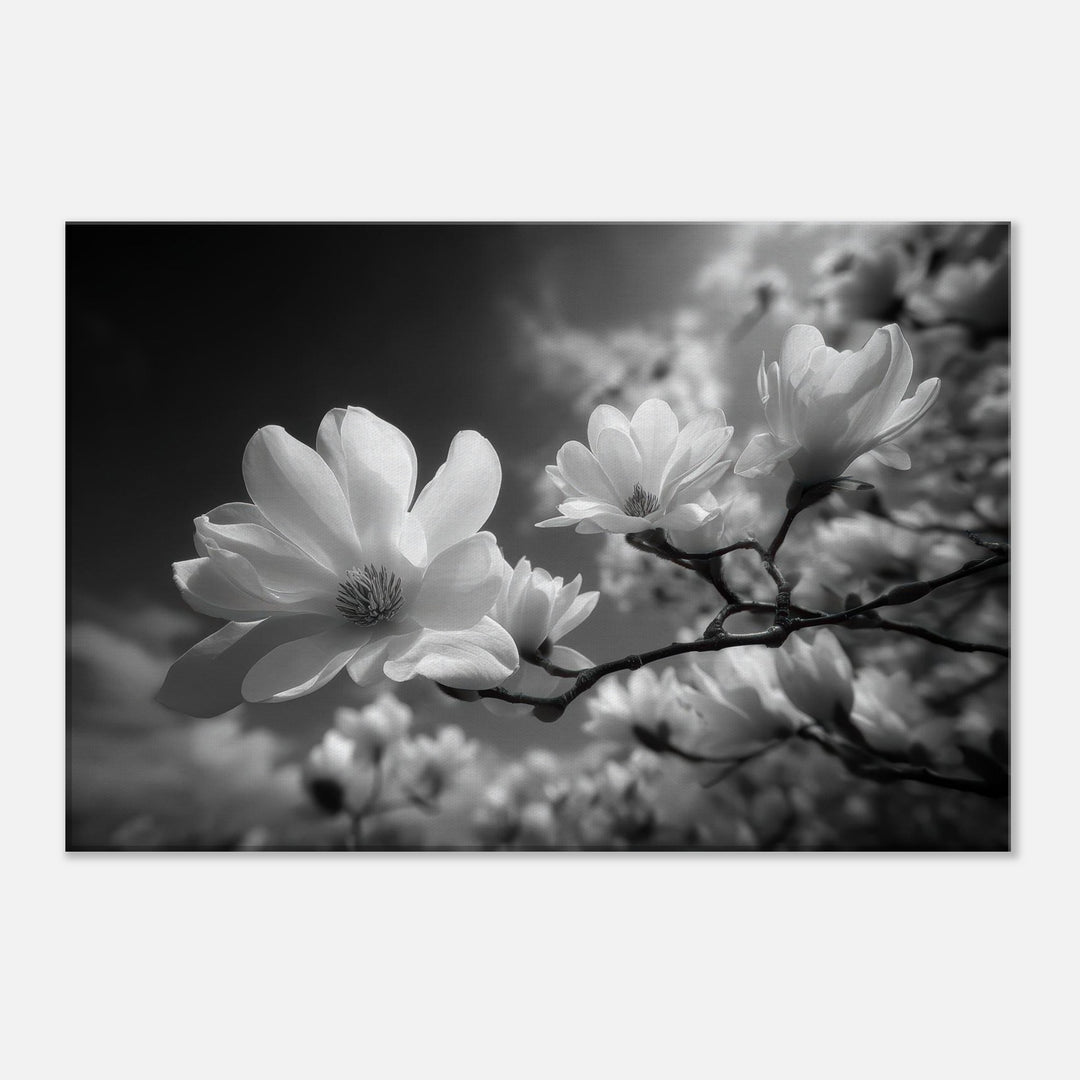 7751dcda-1443-4e4b-b585-bdae418e6221